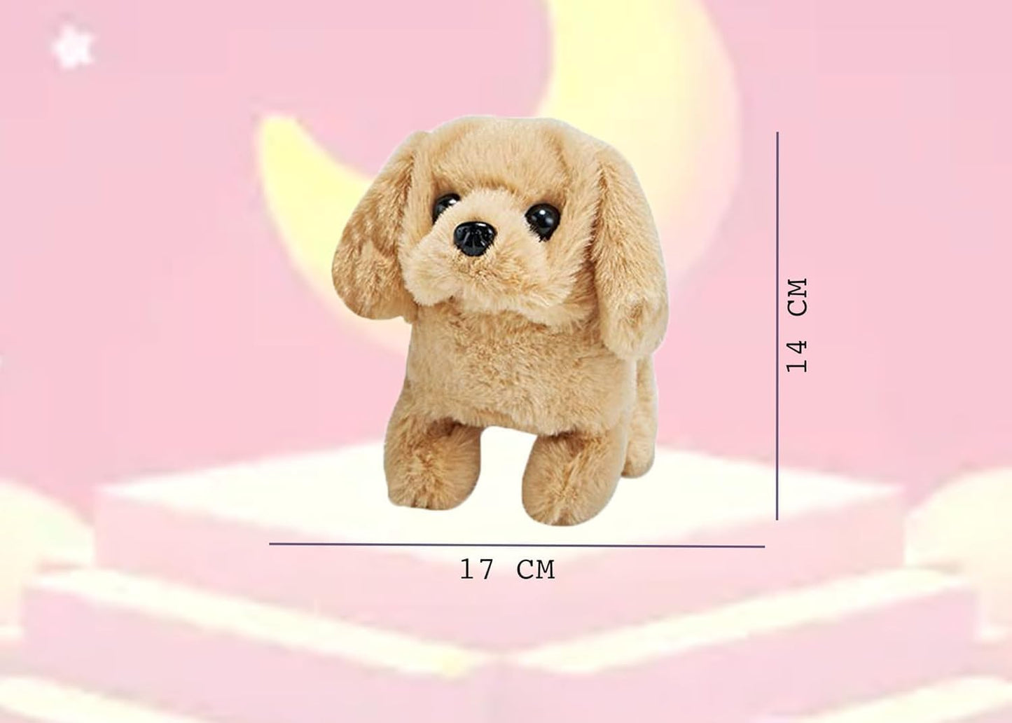Walking Dog