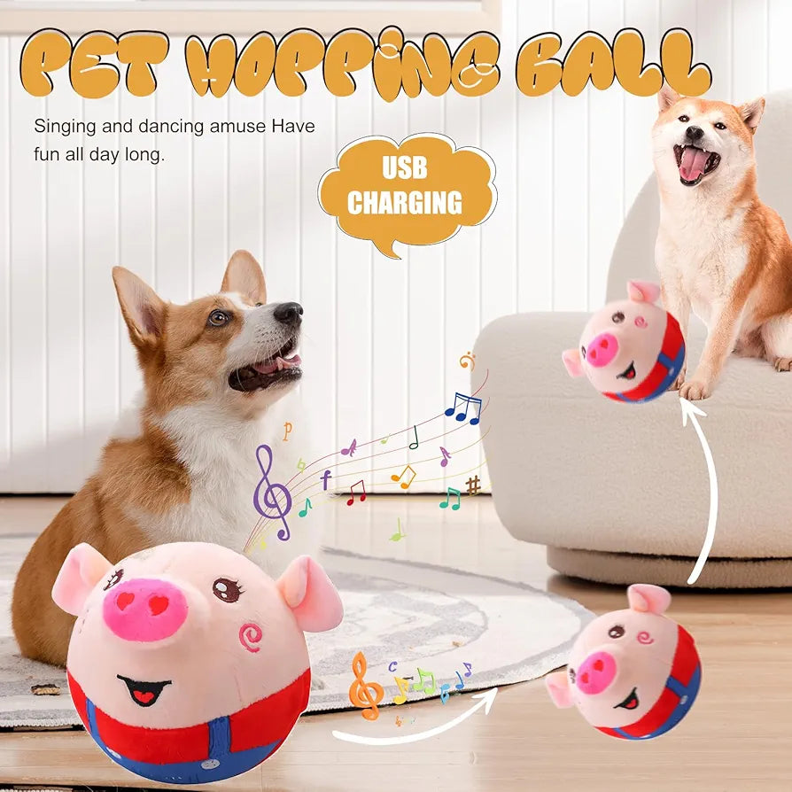 Dancing Piggy Ball