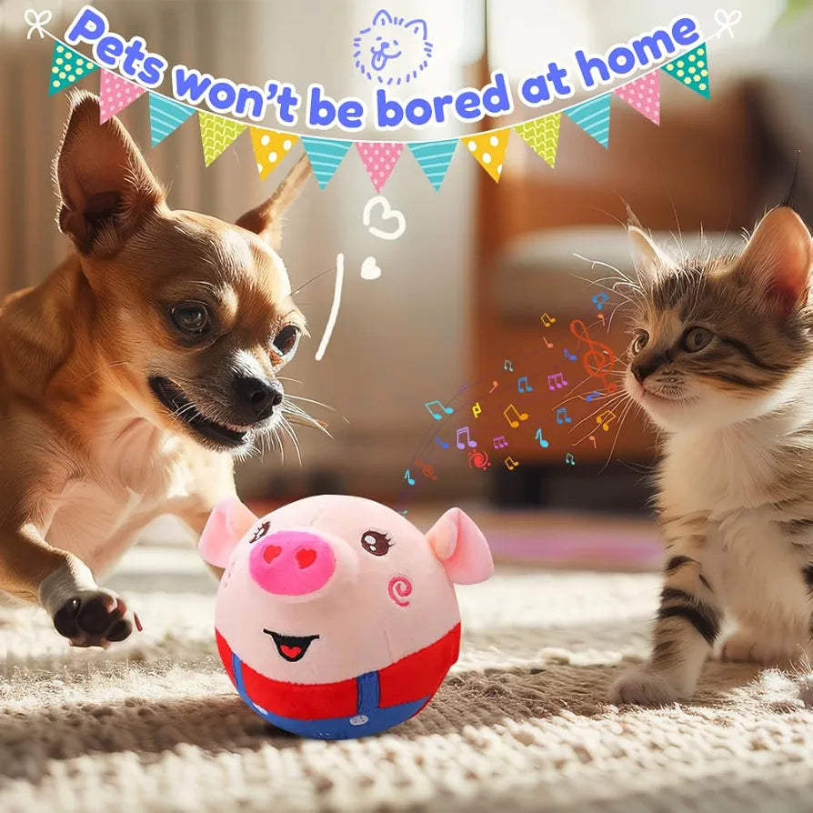 Dancing Piggy Ball