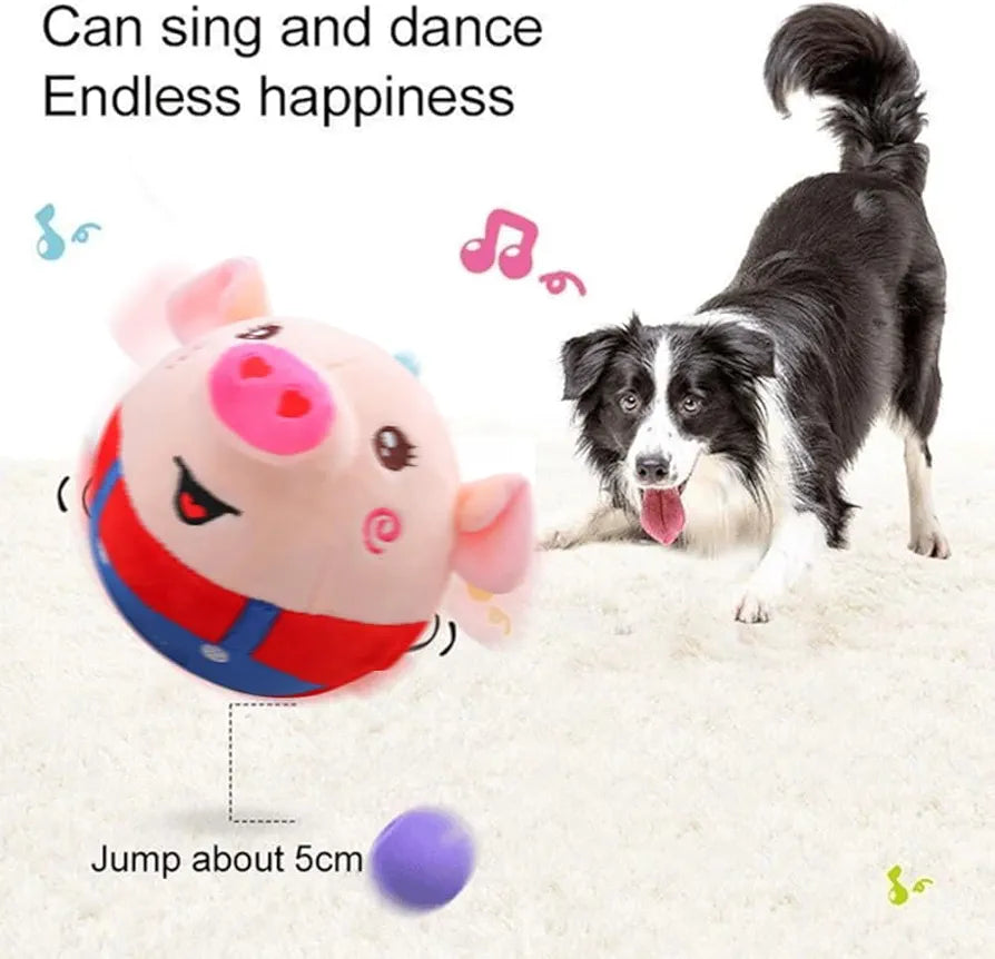Dancing Piggy Ball