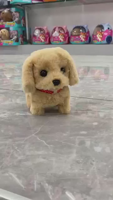 Walking Dog