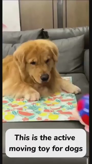 Dancing Piggy Ball