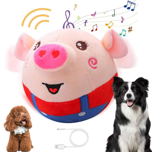 Dancing Piggy Ball